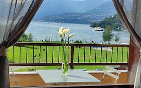 Lily Lake Maggiore